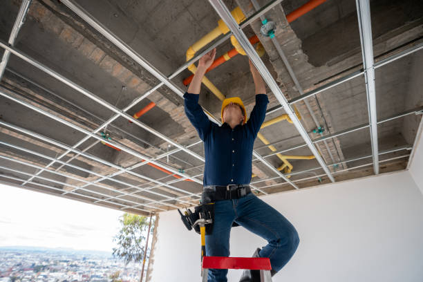 Best Local Plumber Services  in Todd Creek, CO