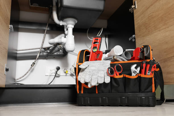 Best Plumbing Inspection Services  in Todd Creek, CO