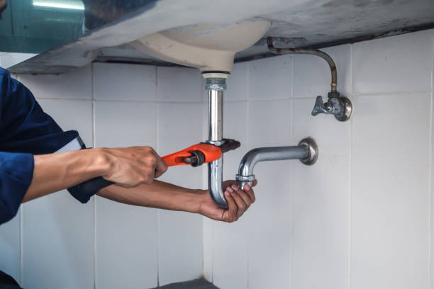 Best Residential Plumbing Services  in Todd Creek, CO