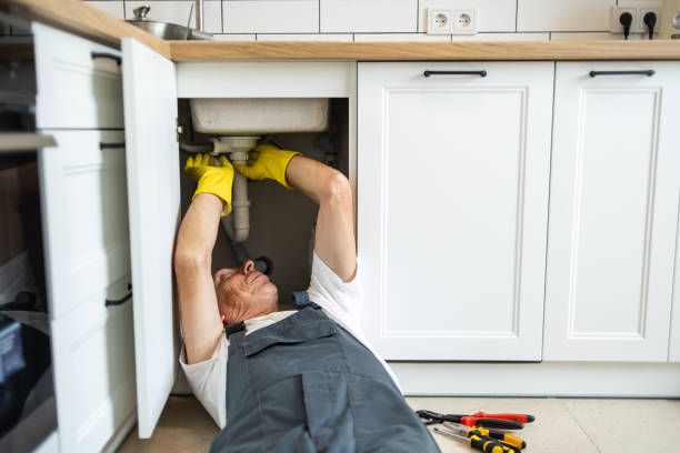 Best Leak Detection Services  in Todd Creek, CO