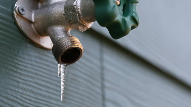 Best Same-Day Plumbing Service  in Todd Creek, CO