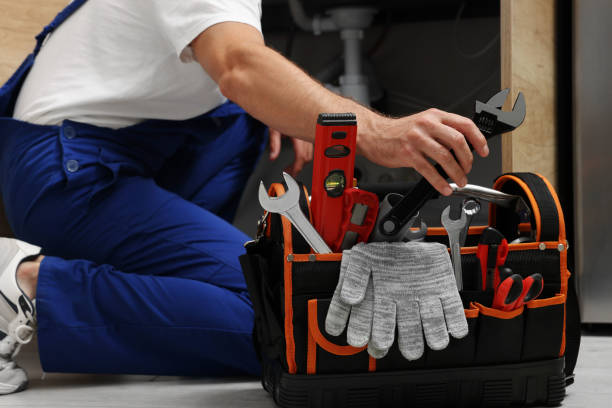 Best Toilet Repair Services  in Todd Creek, CO
